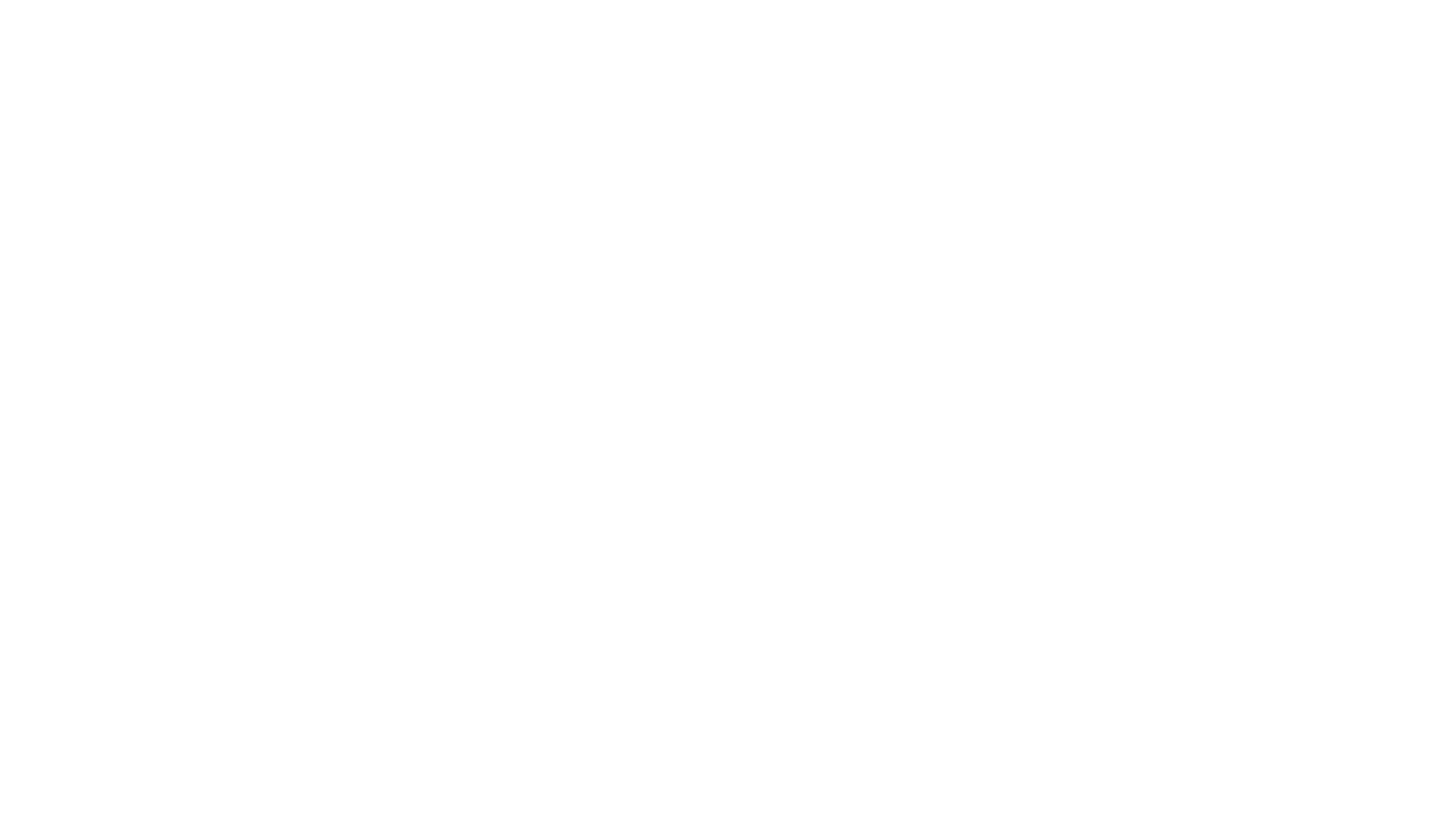 logo light
