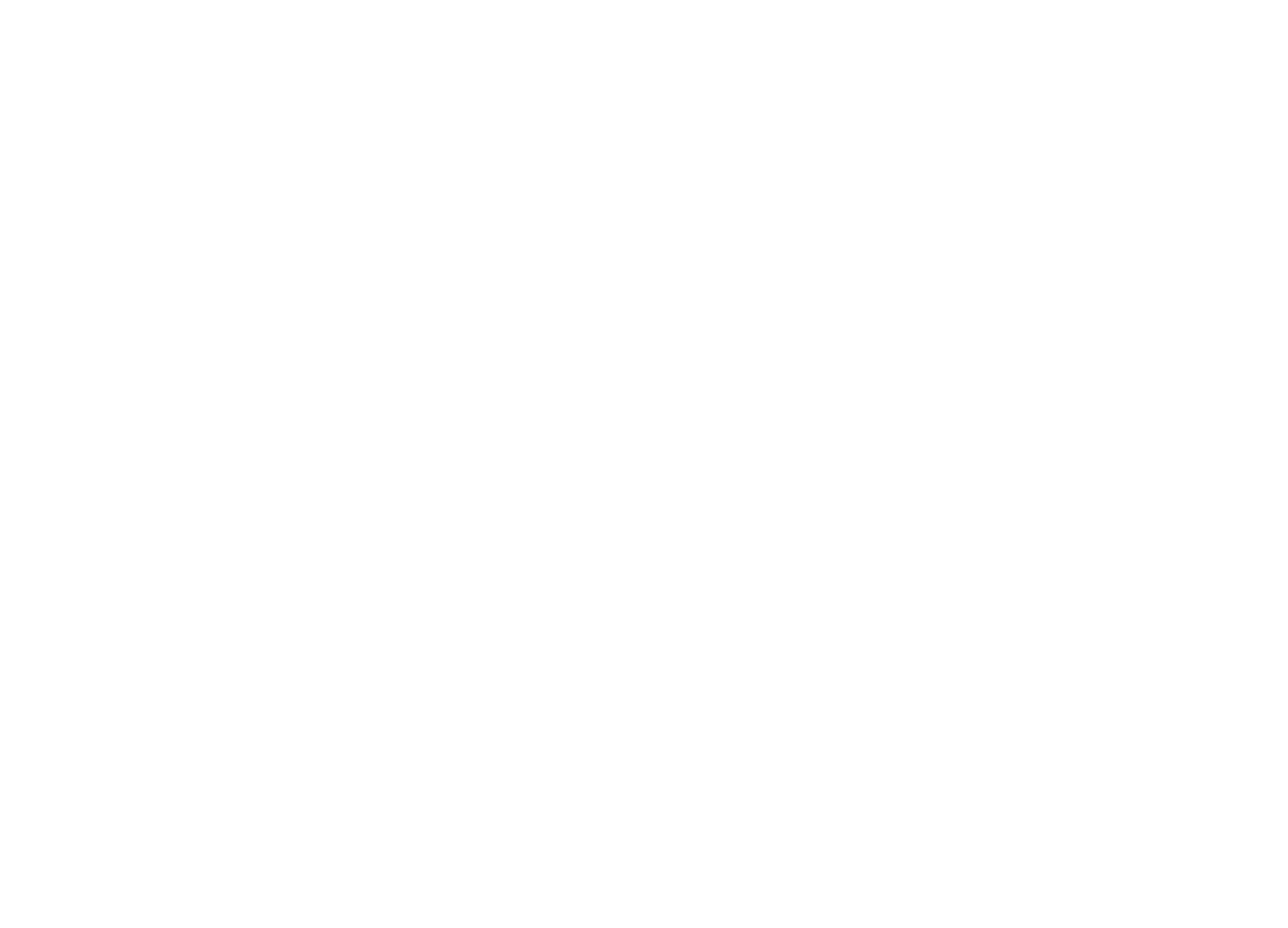 logo light